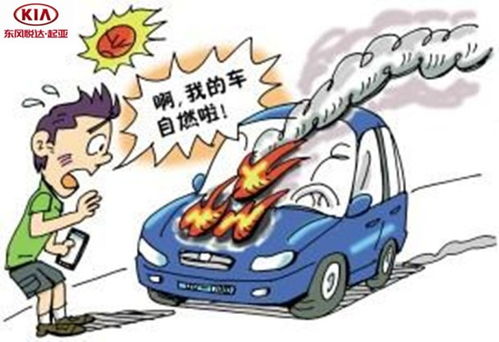 夏天汽车保养热线多少
