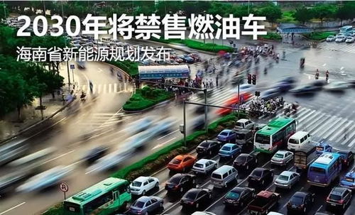 海口摆渡汽车耗时多少 海口摆渡汽车耗时多少