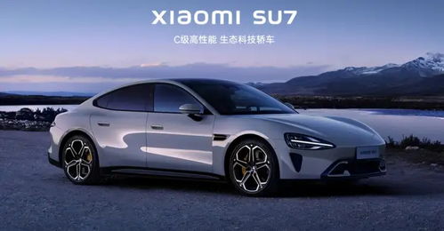 小米汽车首定多少