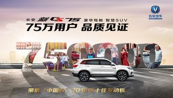 江门汽车约会价格多少